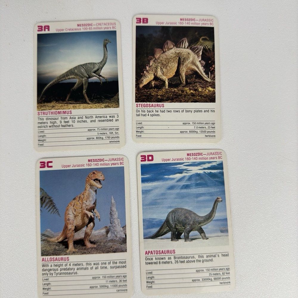 Vintage FX Schmid Animal Rummy Card Game Dinosaurs Prehistoric Animals COMPLETE - Picture 9 of 16